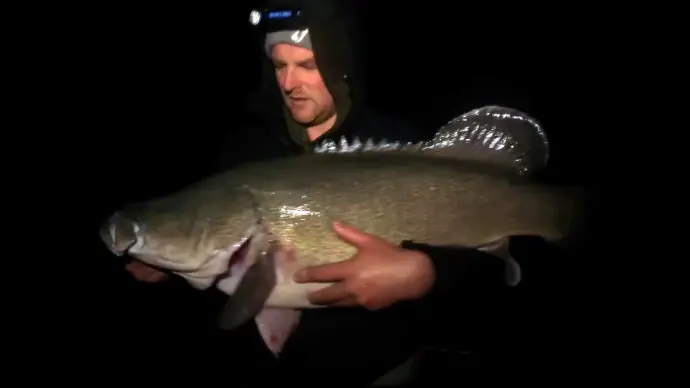 Jesse Murray Cod